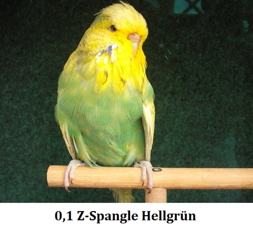 2011 005.png